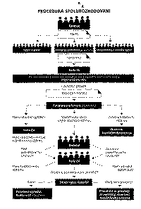 Procedura spolurozhodovn